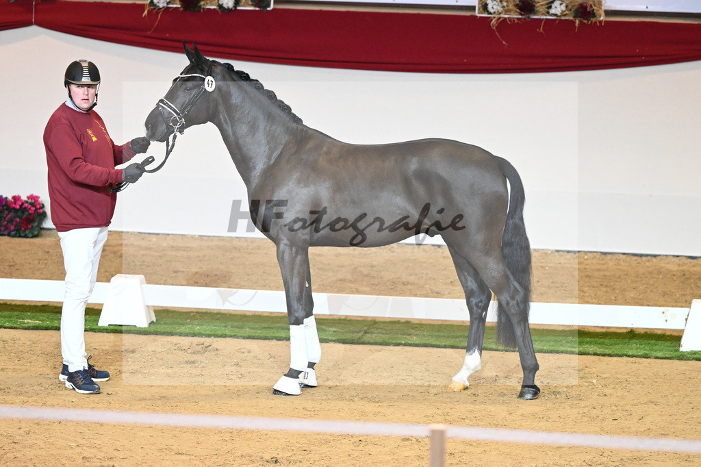 Kat-Nr. 47 Escamillo_Nowak Sonnenbrink GmbH_1230165 | hf-fotografie - Realisiert mit Pictrs.com