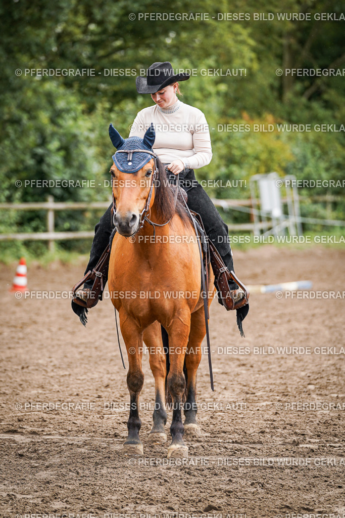 DSC04573 | Pferdegrafie