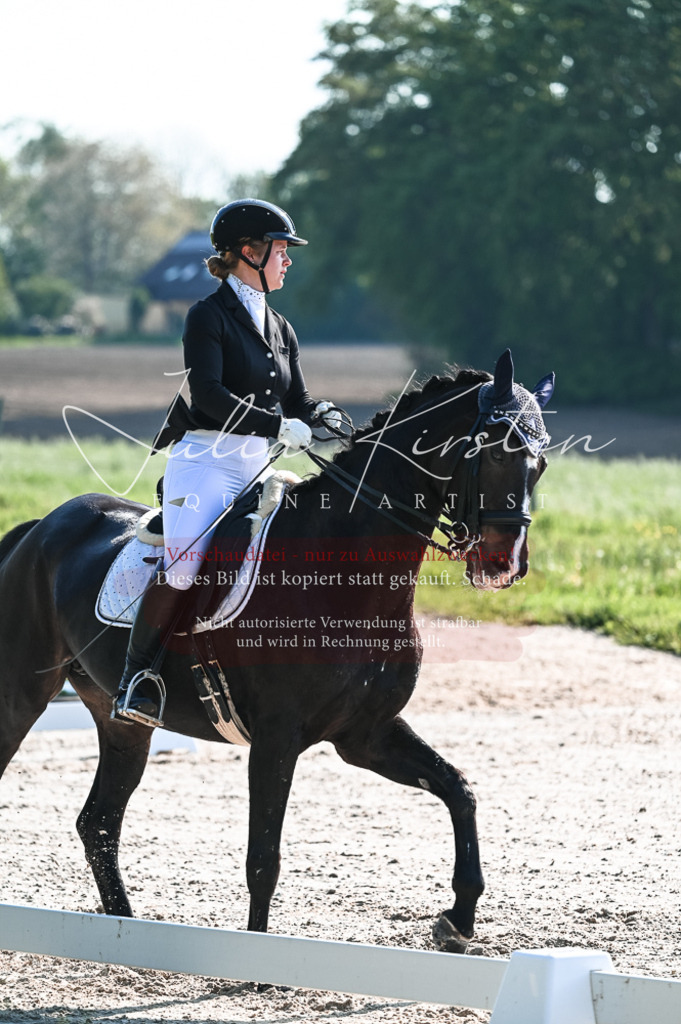 20230514_JK-Röhrsdorf-18-076 | Pferde- und Turnierfotografie in Westsachsen. Pferdeportraits, Auftragszeichnungen und intuitive Kunst.