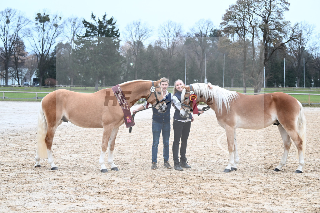 Kat-Nr. 13 Wolverine v. Westwind_Kat-Nr. 23 Maverick v. Manu_Lechner_48251905 | hf-fotografie - Realisiert mit Pictrs.com