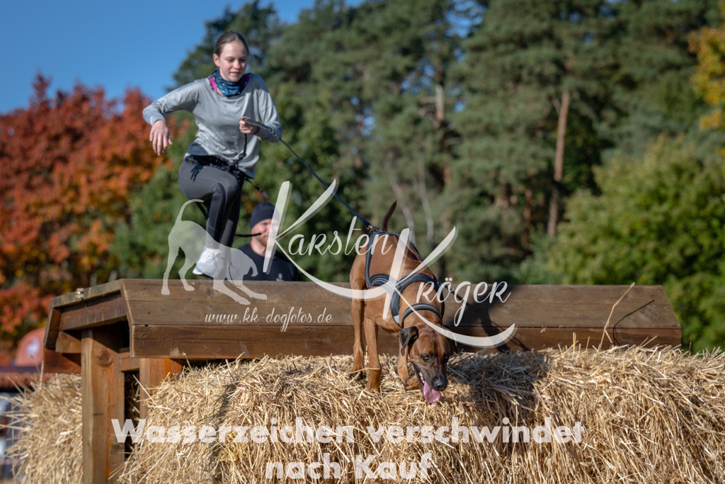 1117_ZZ93067 | kk-dogfotos