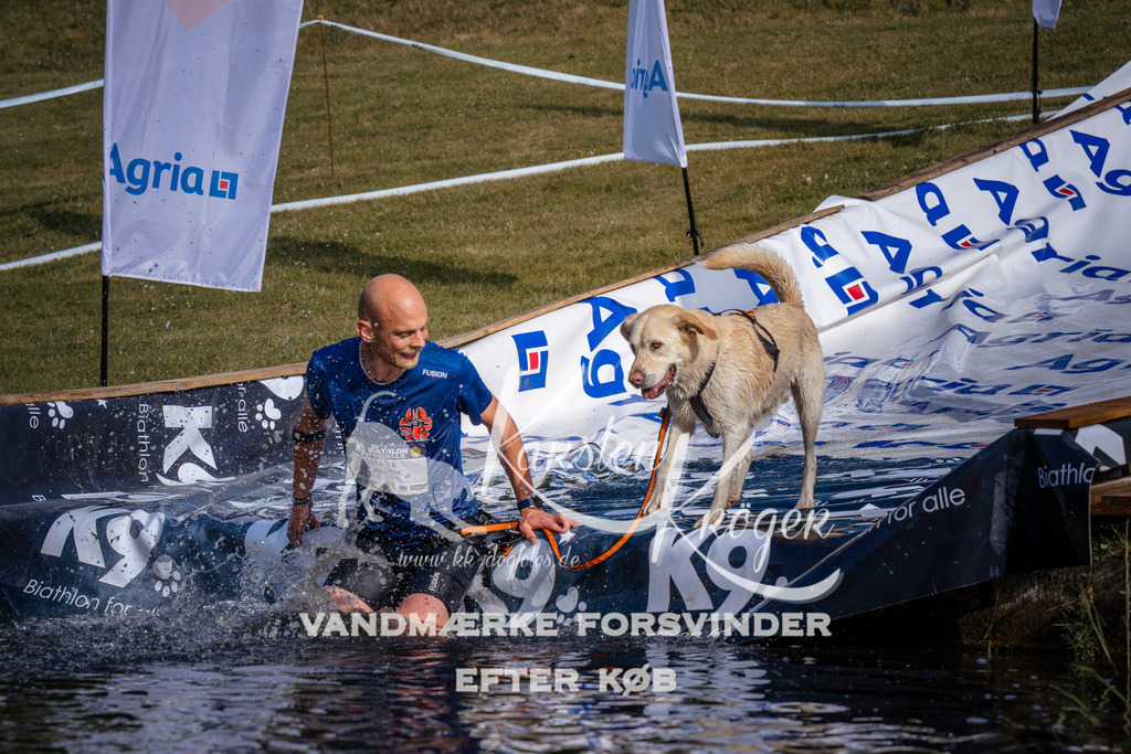 _ZZ956830728 | kk-dogfotos