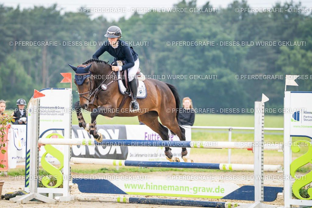 DSC00093 | Pferdegrafie