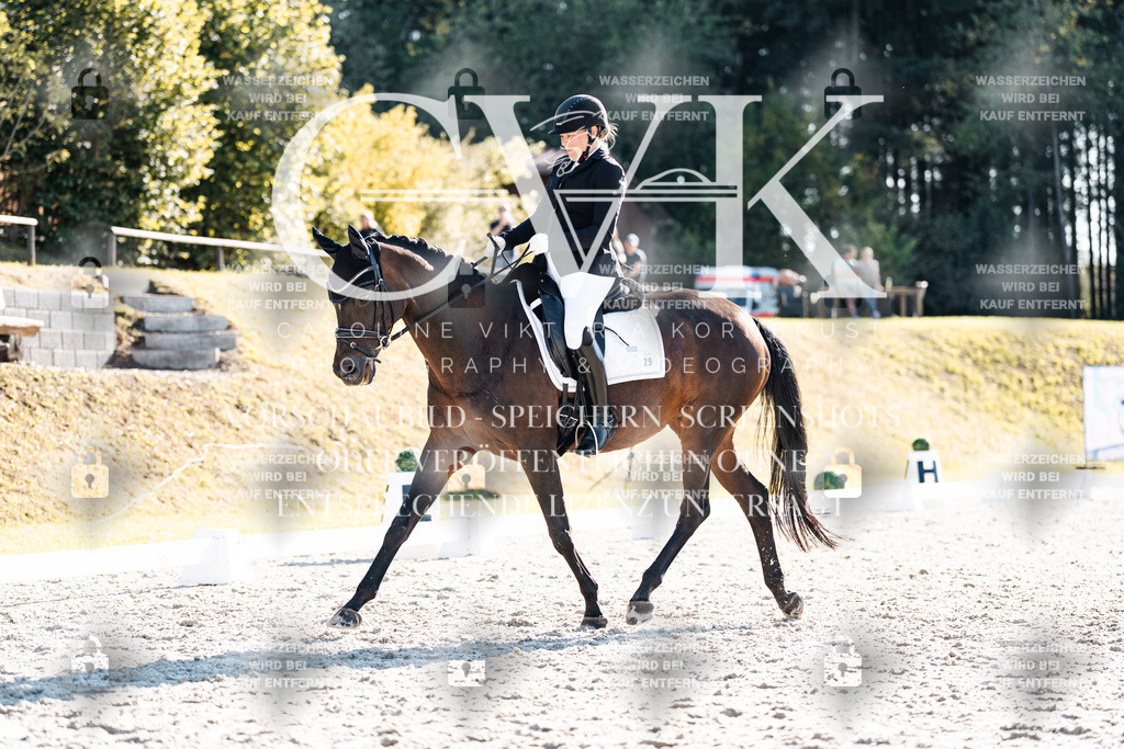 CK906373 | Turnierfotografie Pferdefotografie Trier Rheinland-Pfalz Pferdesport Reitsport Tierfotografie Sportfotografie Pferdevideo Pferdevideografie Equestrianvideography equestrianphotography  - Realisiert mit Pictrs.com
