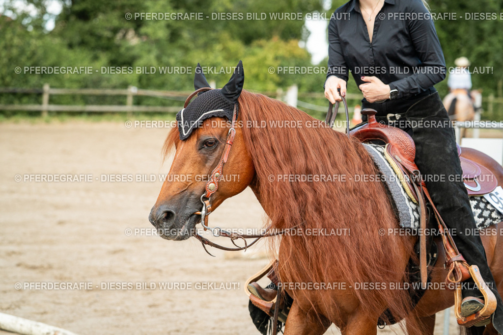 DSC06004 | Pferdegrafie