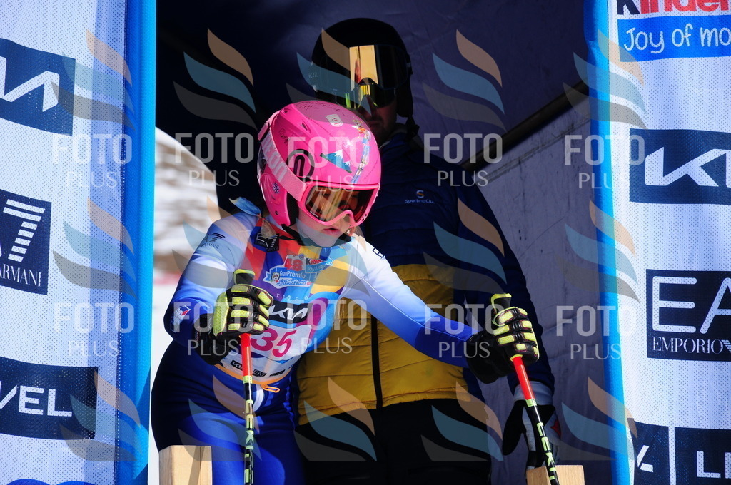 DSC_3982 | holidayphoto