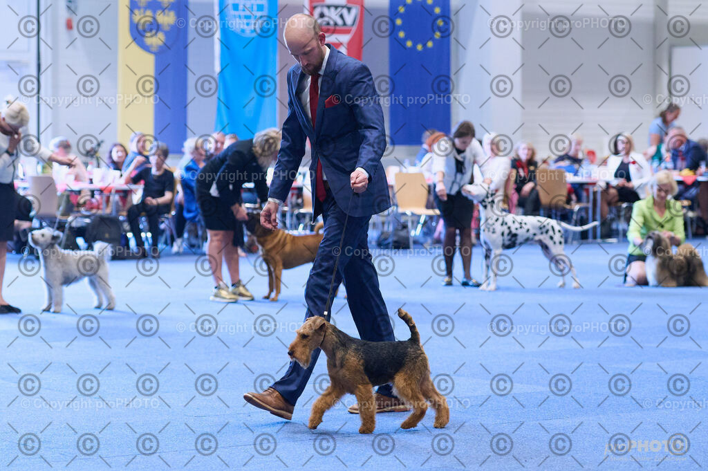 202406_ÖKV-IHA-Tulln24_DSC_4404 | proPHOTO - Realisiert mit Pictrs.com