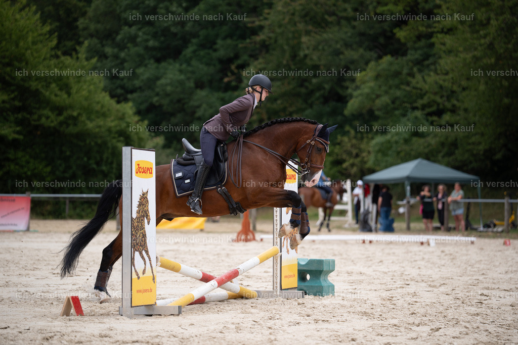 WL_ST_105_stoibphotography__SO11055 | working equitationturnier fotograf videograf stoibphotography marixx film working equitation deutschland reitsport turnierfotografie eventfotografie equestrian events