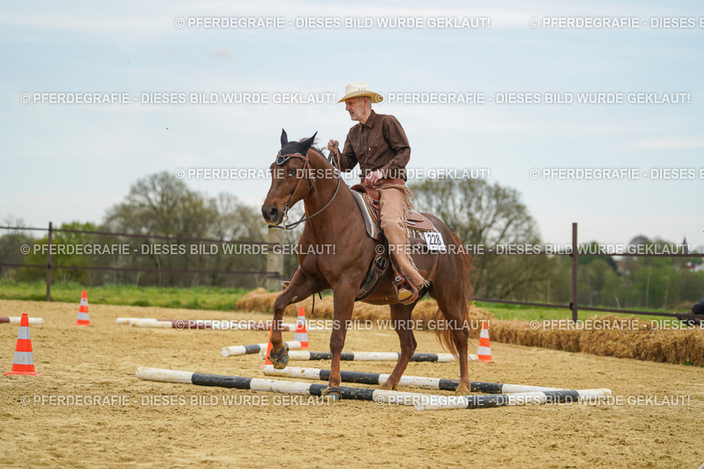 DSC02906 | Pferdegrafie