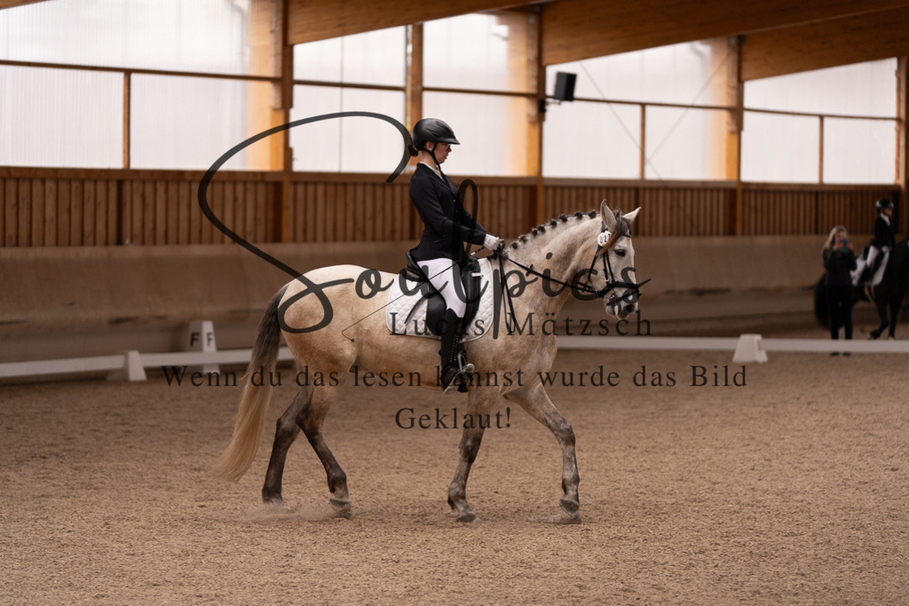 A7506979 | Turnier/Reitfotograf
