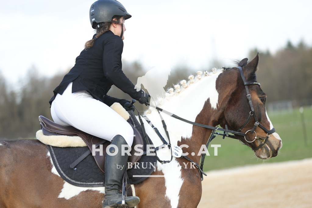0P6A8975 | Willkommen bei Brunnmayr - Design & Fotografie – Ihrem Spezialisten für Reitturniere und Pferdeveranstaltungen in Oberösterreich, Salzburg und Bayern! Seit über 17 Jahren sind wir leidenschaftlich dabei.
