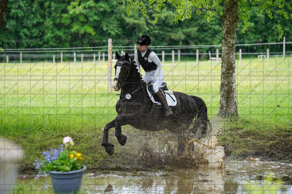 20240518-FAH03987 | Turnierbilder von Niederseon, Turnierfotografen Bayern, Fotoagentur Herrmann, Geländebilder, Reitsportfotografie