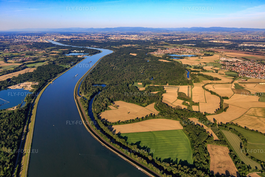 Vue aérienne: Cours des rivières Ill et Waldrhein le long du Rhin à La Wantzenau dans le département Bas Rhin, France – .Photo: IMG_114990.jpg prise le 01/06/2019 par Werner Riehm/FLY-FOTO.eu – Résolution de l'original: 5472 x 3648 px
