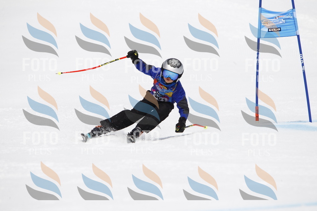 _U3G7495 | holidayphoto