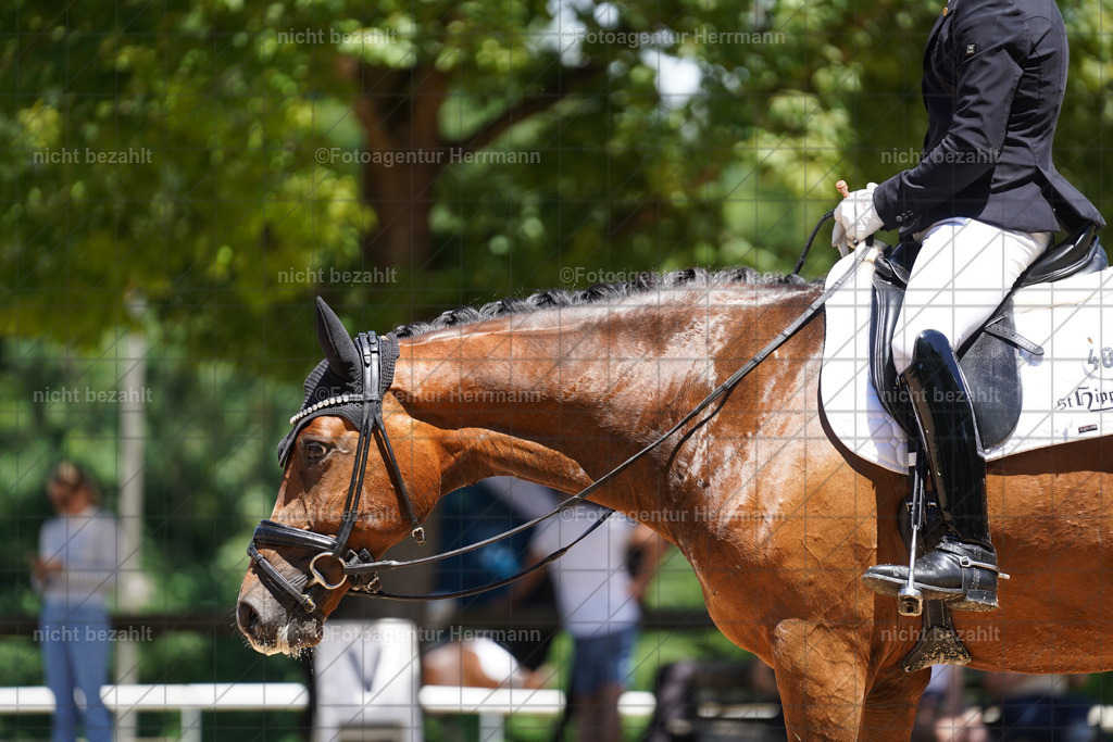 20240705-FAH03865 | Turnierbilder von Grafing, Reitsportbilder, Turnierfotos, Turnierfotografen Bayern, Pferdefotograf, Fotoagentur Herrmann