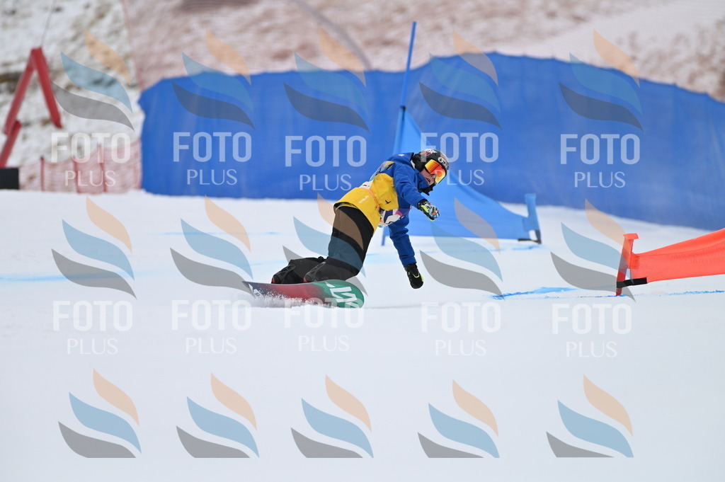 BGV_3681 | holidayphoto