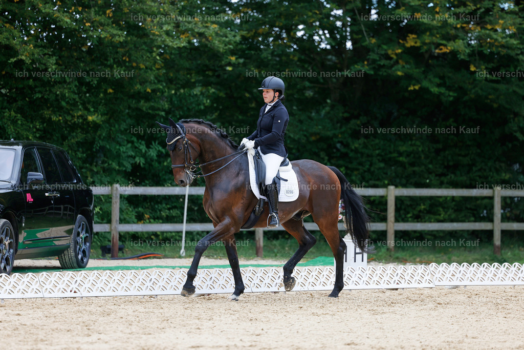 04_2-206-Dressur M__ -StoibPH-2920 | working equitationturnier fotograf videograf stoibphotography marixx film working equitation deutschland reitsport turnierfotografie eventfotografie equestrian events
