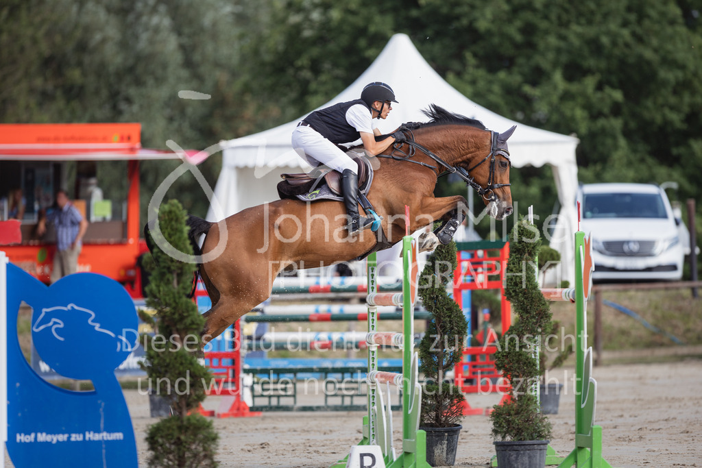 230624_PfSpTa_GroßerPreis-216 | Deine schönsten Turniermomente als professionelle Fotos! Entdecke hochwertige Pferdesport-Fotografie im Online-Shop. Jetzt Fotos finden & bestellen!
