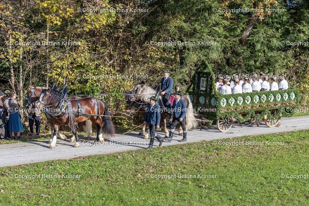 LBT24-579 | foto-bettina-krinner - Realisiert mit Pictrs.com