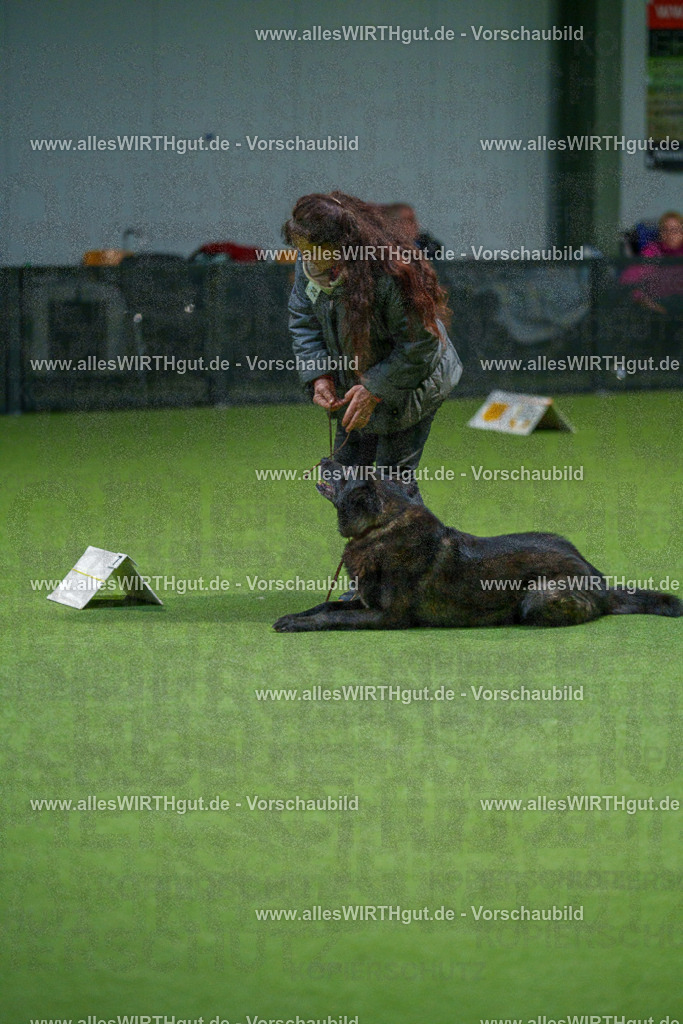 7R504980 | Professionelle Tierfotografie in Mönchengladbach von Daniel Wirth (allesWIRTHgut). Liebevolle & natürliche Bilder von Hunden & Katzen für unvergessliche Erinnerungen.