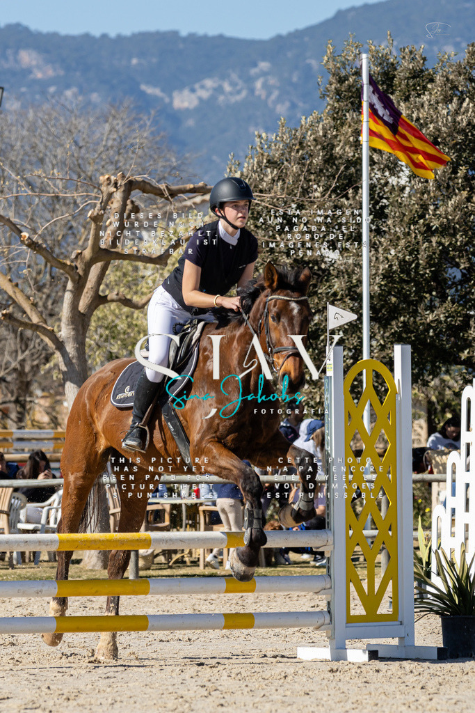 IMG_9299 | s-jay-photography - Realisiert mit Pictrs.com