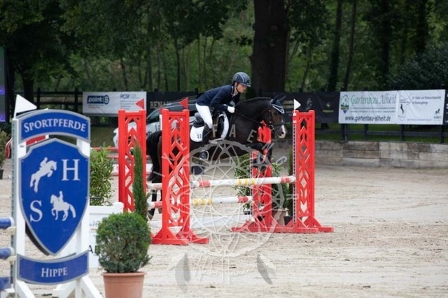 2B4A2277 | pixelfaenger - Realisiert mit Pictrs.com