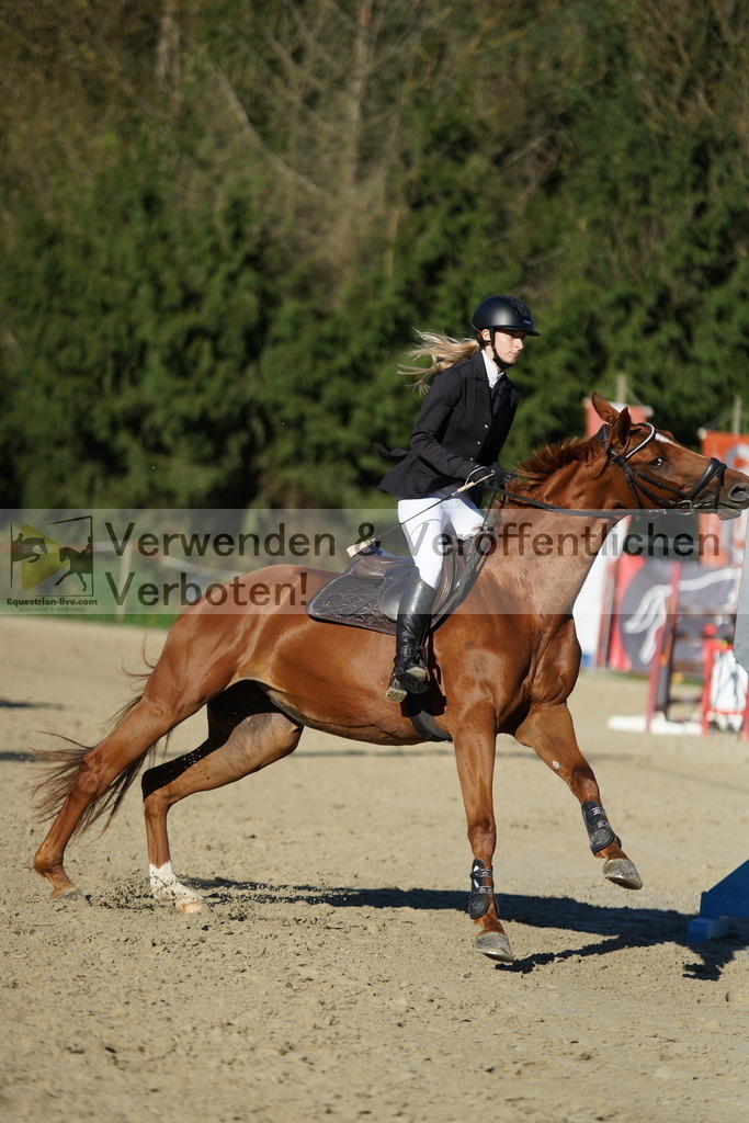 DSC08191 | equestrian-live-com