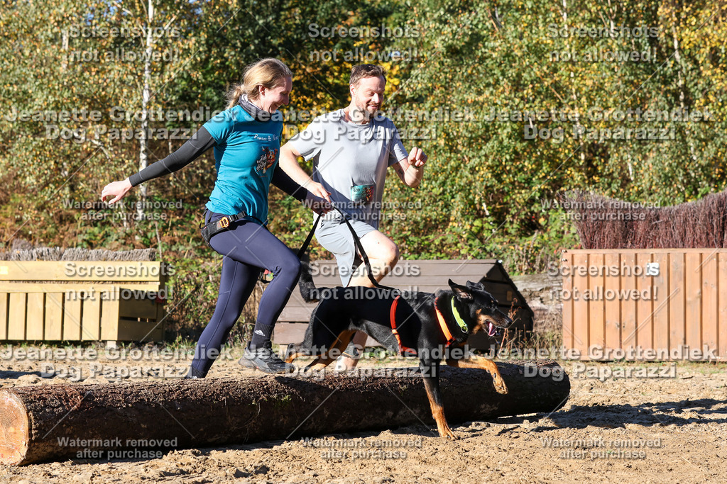 Dog Paparazzi - Strongdog 10-25-1784 | Dog Paparazzi Jeanette Grottendiek Fotografie & Videografie - Realisiert mit Pictrs.com