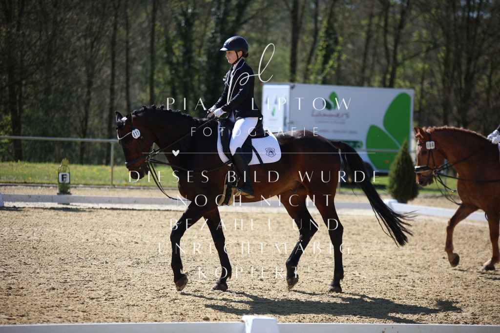 IMGT0549 | pl-fotografie