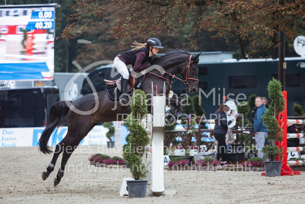 240913_OWLCh_AmateurS-330 | Deine schönsten Turniermomente als professionelle Fotos! Entdecke hochwertige Pferdesport-Fotografie im Online-Shop. Jetzt Fotos finden & bestellen!