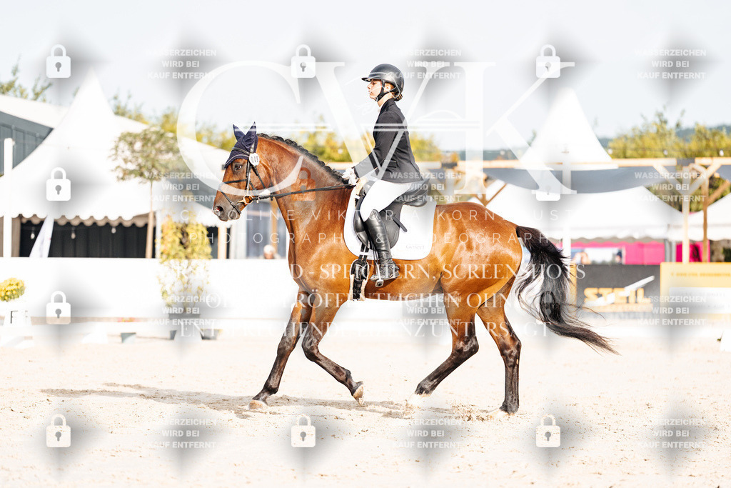 CK904097 | Turnierfotografie Pferdefotografie Trier Rheinland-Pfalz Pferdesport Reitsport Tierfotografie Sportfotografie Pferdevideo Pferdevideografie Equestrianvideography equestrianphotography  - Realisiert mit Pictrs.com