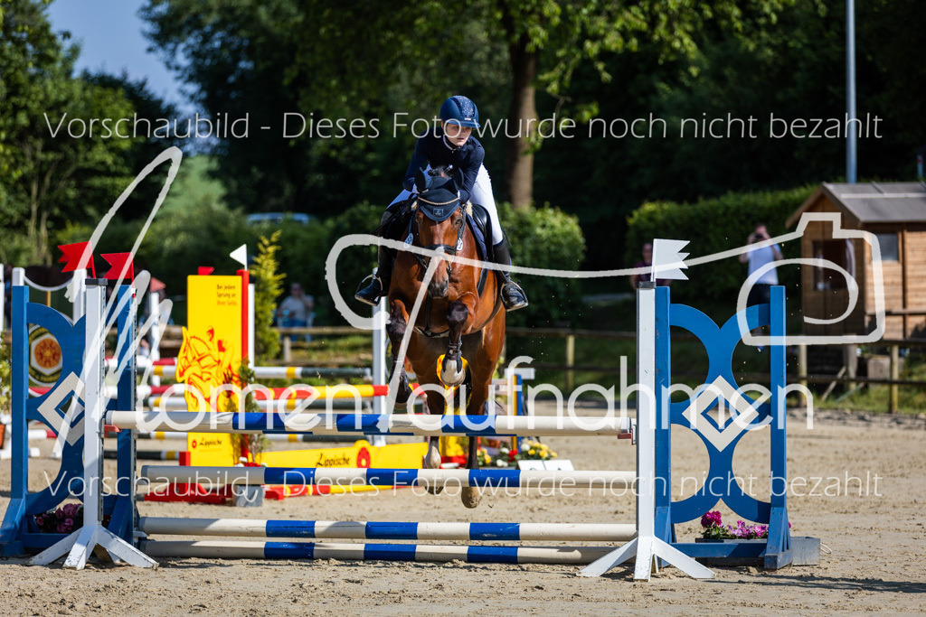 Donop24-ASpr-045 | MomenTaufnahmen Pferdesportfotos