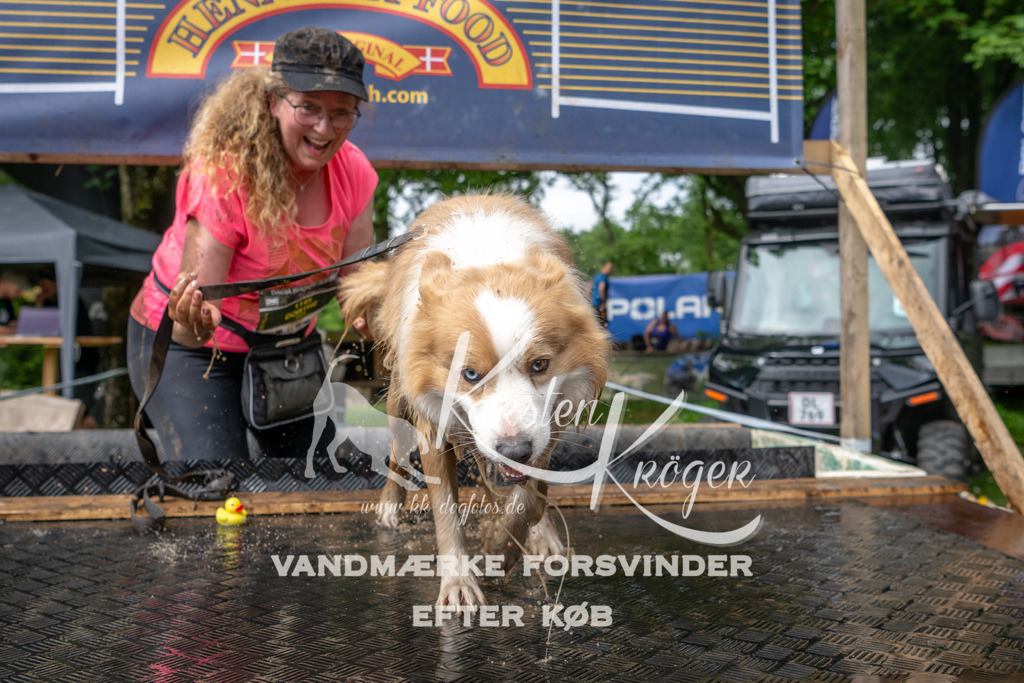 1012_ZZ94486 | kk-dogfotos