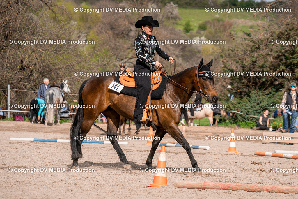 BAL02770 | dv-media-shop - Realisiert mit Pictrs.com