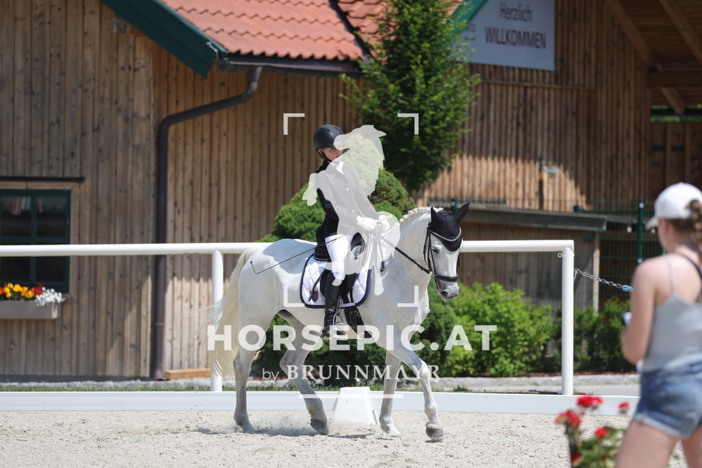 0P6A5994 | Willkommen bei Brunnmayr - Design & Fotografie – Ihrem Spezialisten für Reitturniere und Pferdeveranstaltungen in Oberösterreich, Salzburg und Bayern! Seit über 17 Jahren sind wir leidenschaftlich dabei.