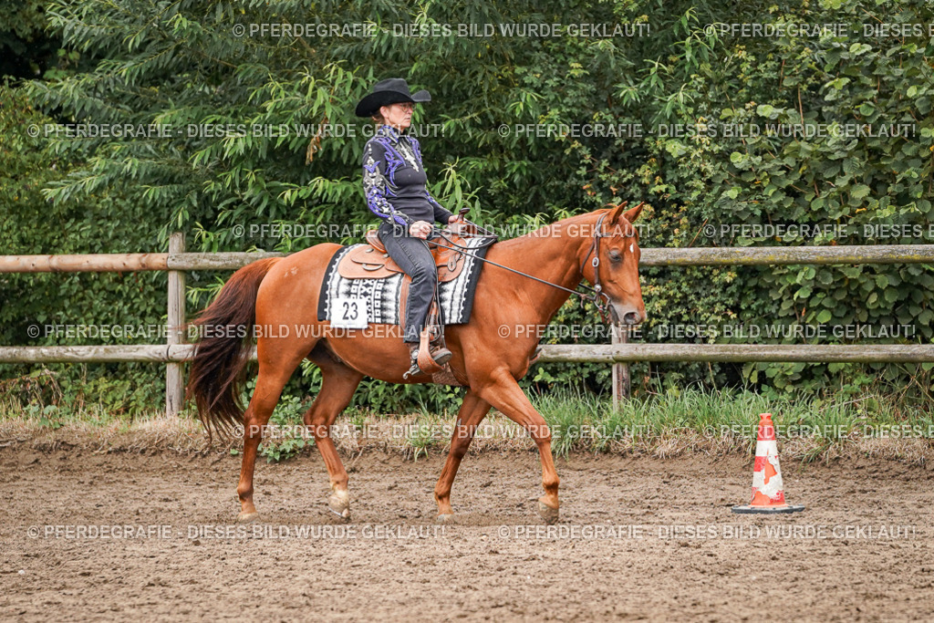 DSC05046 | Pferdegrafie