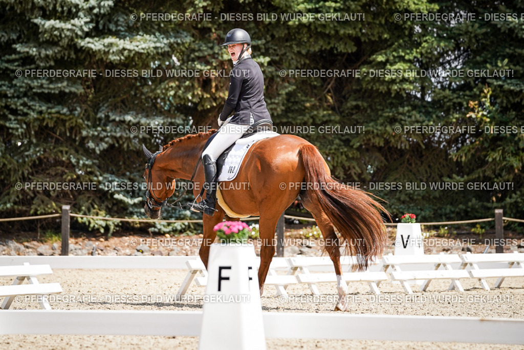 DSC00921 | Pferdegrafie