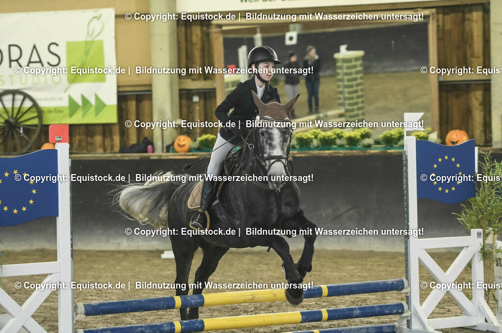 20231029_07_Stilspring-WB-50cm_0048 | Foto: Thomas Hartig