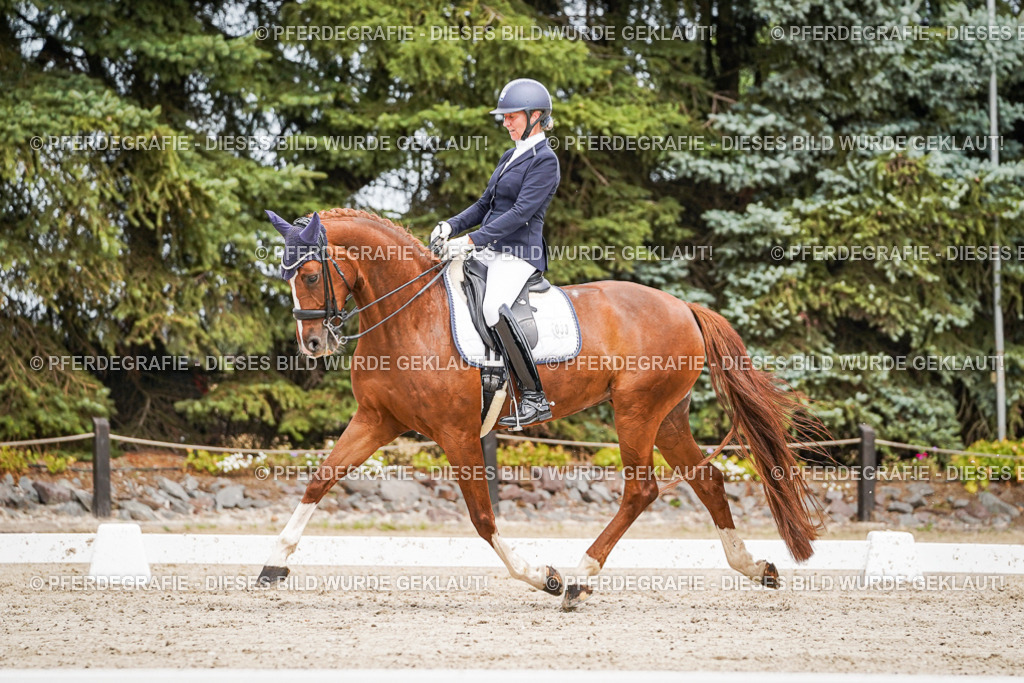 DSC05179 | Pferdegrafie