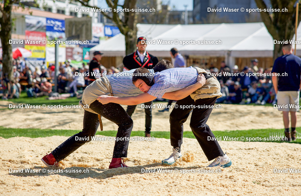Küng Alain (2008) - Dietiker Severin (2007) 15. Surentaler Frühjahrsschwinget Sursee_ 05.04.2025 | sports-suisse.ch