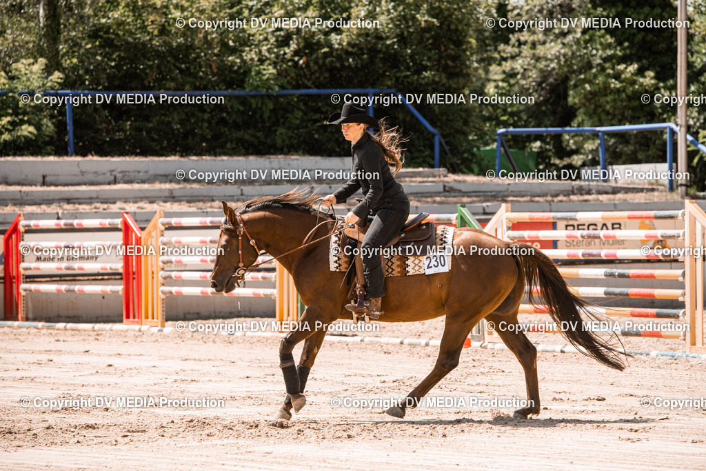 ZS3_0069 | dv-media-shop - Realisiert mit Pictrs.com