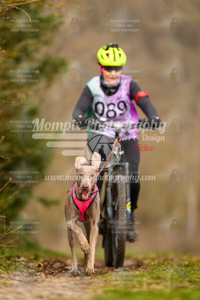 MompixPhotography_Schwabentrail2024_Bike-73 | PayLife