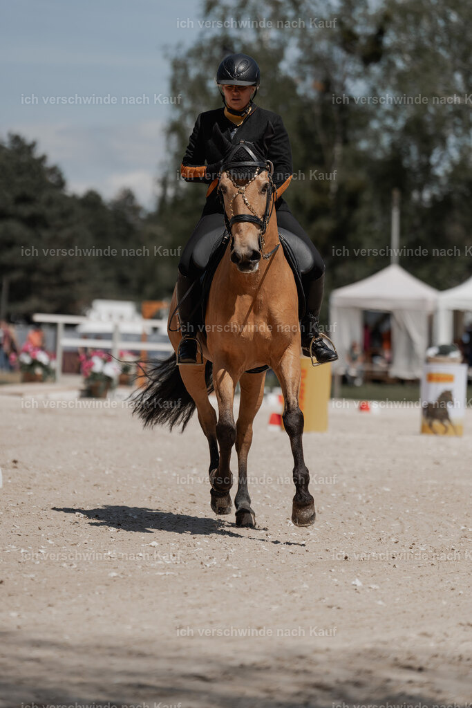 WE_ST_Stoib_319_PI2025_1279 | Pferd International München 2025