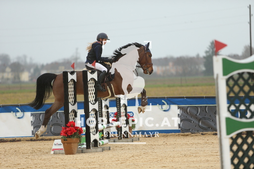 DL2Q0922 | Willkommen bei Brunnmayr - Design & Fotografie – Ihrem Spezialisten für Reitturniere und Pferdeveranstaltungen in Oberösterreich, Salzburg und Bayern! Seit über 17 Jahren sind wir leidenschaftlich dabei.