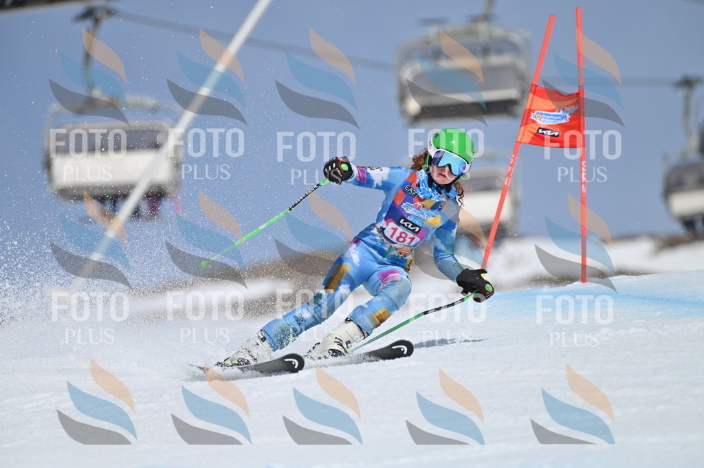 BGV_0630 | holidayphoto