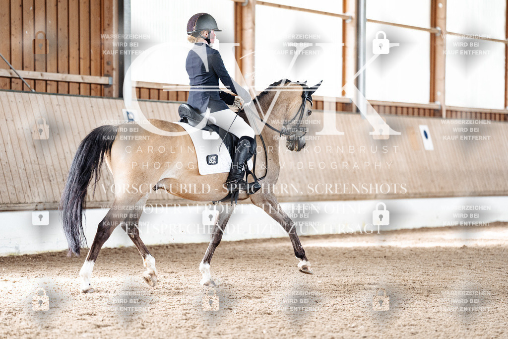 CK900283 | Turnierfotografie Pferdefotografie Trier Rheinland-Pfalz Pferdesport Reitsport Tierfotografie Sportfotografie Pferdevideo Pferdevideografie Equestrianvideography equestrianphotography  - Realisiert mit Pictrs.com