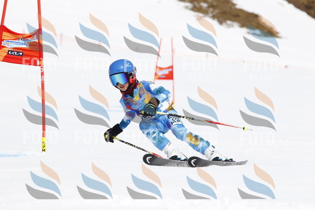 _U3G4594 | holidayphoto