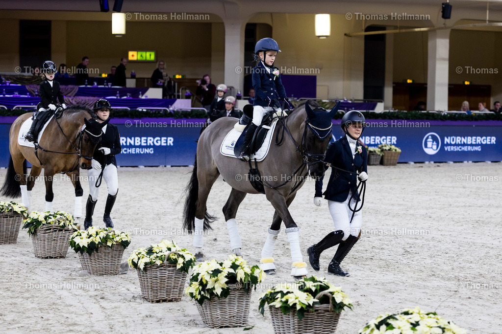 TH_Nürnberger Burgpokal Führzügelwettbewerb_13262 | Nürnberger Burgpokal Führzügelwettbewerb beim Festhallen Reitturnier Frankfurt 2023 am 15.12.23 in Frankfurt, Festhalle