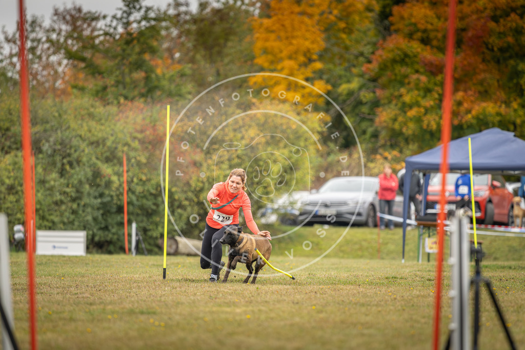 Pfotenfotografie_DV3A4089 | Hundefotografie, Tierfotograf, Pfotenfotografie, Fotoshooting Hund, Hunde Portrait, Hundesport, Hundeportraits, Heideshooting, Hunde, Sportfotograf, Hundefotograf, Turnierhundsport, THS,  - Realisiert mit Pictrs.com