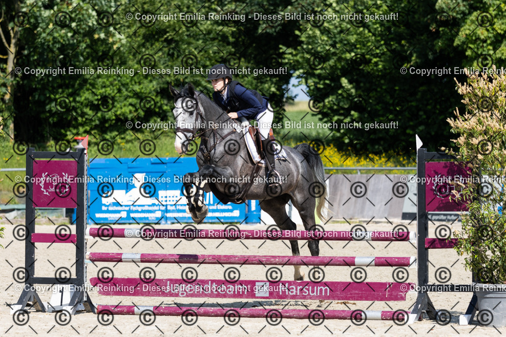 CL5A0252 | Emilia Reinking Fotografie - Realisiert mit Pictrs.com